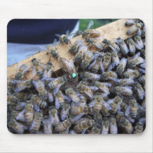Bienenkönigin mousepad