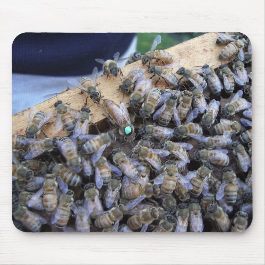 Bienenkönigin mousepad (Vorne)