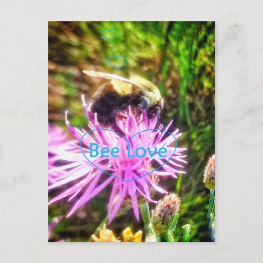 BIENENLIEBE ORIGINAL POSTCARD POSTKARTE (Vorderseite)