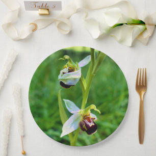 Bienenorchid-Papierplatte Pappteller