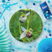 Bienenorchid-Papierplatte Pappteller (Party)