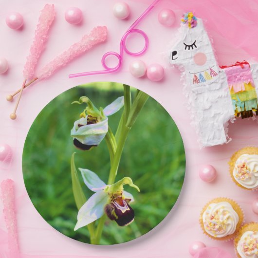 Bienenorchid-Papierplatte Pappteller (Party)