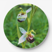 Bienenorchid-Papierplatte Pappteller (Vorderseite)