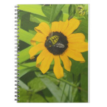 Bienenrückhaltung in einem Blume-Foto-Notebook