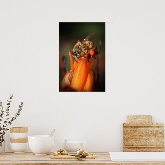 Bienensammelpollen Poster (Küche)