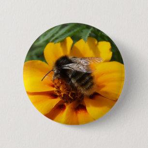 Bienenschaltfläche Button