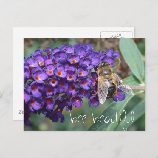 Bienenschön Postkarte (Vorne/Hinten)