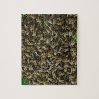 BIENENSCHWARM Forderndes Puzzle