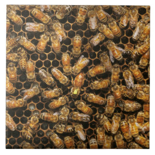 Bienenstand - Biene - Ein Gruß der Königin Fliese