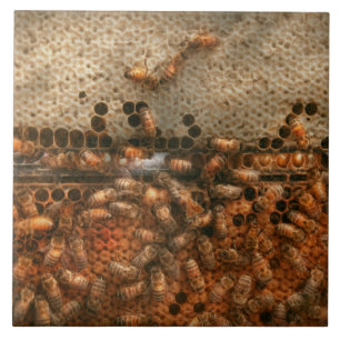 Bienenstand - Bienen - Süßer Erfolg Fliese