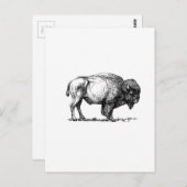 Bienenstier Postkarte (Vorne/Hinten)