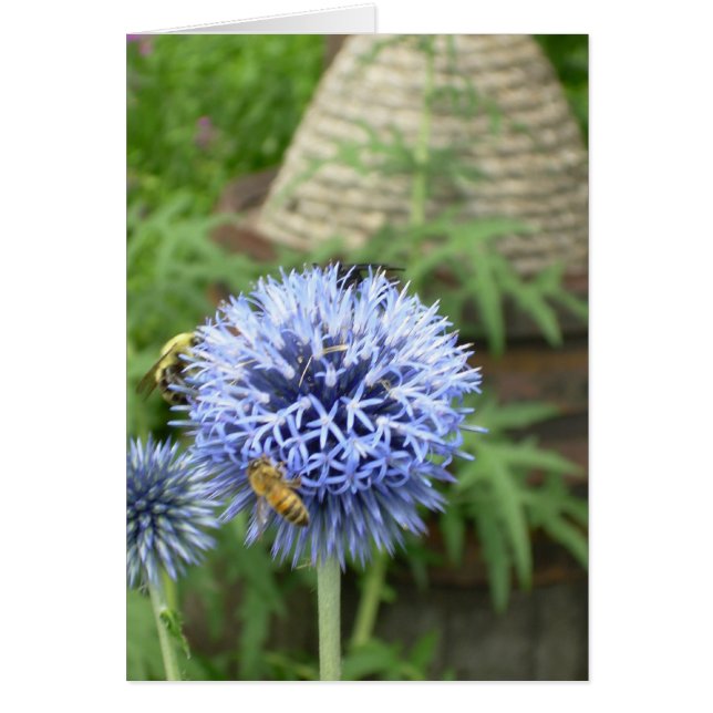 Bienenstock (Vorne)