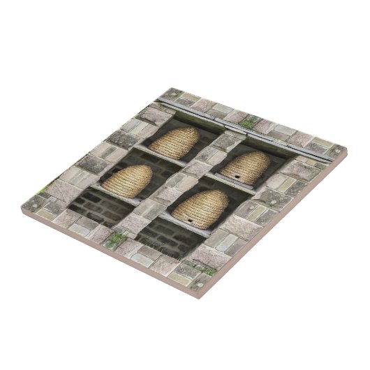 Bienenstock-Bienenstock-Bienenzucht Vintag Fliese (Seite)