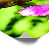 Bienenstock-Hintern Poster (Ecke)