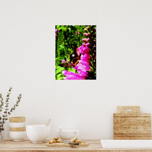 Bienenstock-Hintern Poster (Küche)