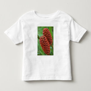 Bienenstock Ingwer, Zingiber spectabile), Kleinkind T-shirt