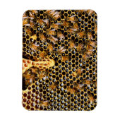 Bienenstock mit Honeycomb Nah Magnet (Vertikal)