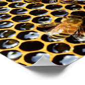 Bienenstock mit Honeycomb Nah Poster (Ecke)