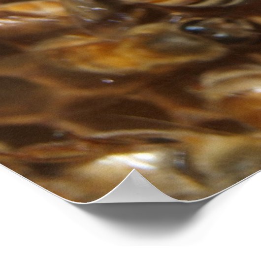 Bienenstock Poster (Ecke)