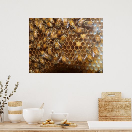 Bienenstock Poster (Küche)