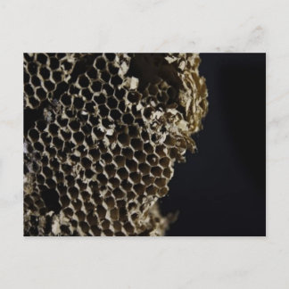 Bienenstock Postkarte