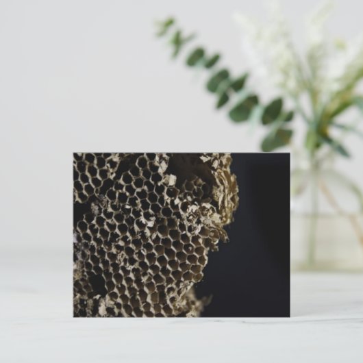 Bienenstock Postkarte (Stehend Vorderseite)