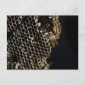 Bienenstock Postkarte (Vorderseite)