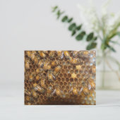 Bienenstock Postkarte (Stehend Vorderseite)