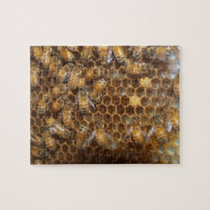 Bienenstock Puzzle