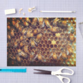 Bienenstock Seidenpapier (Handwerk)