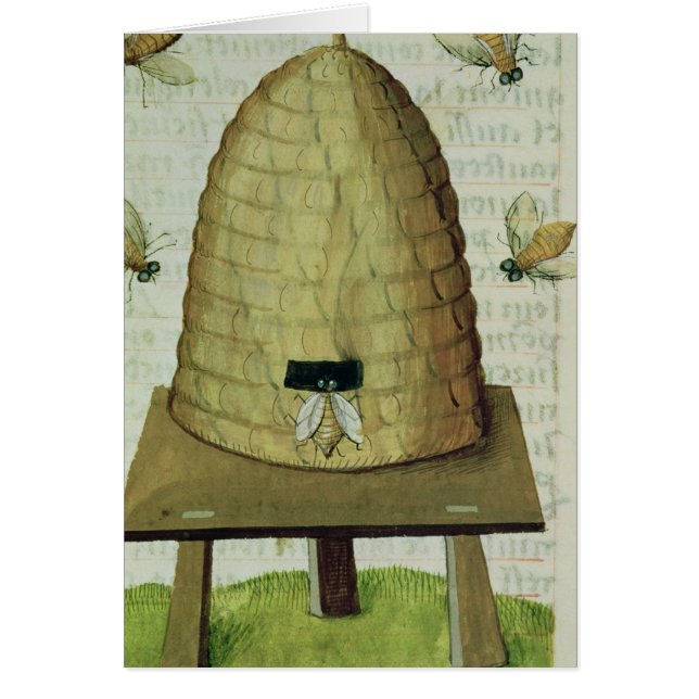 Bienenstock und Bienen (Vorne)