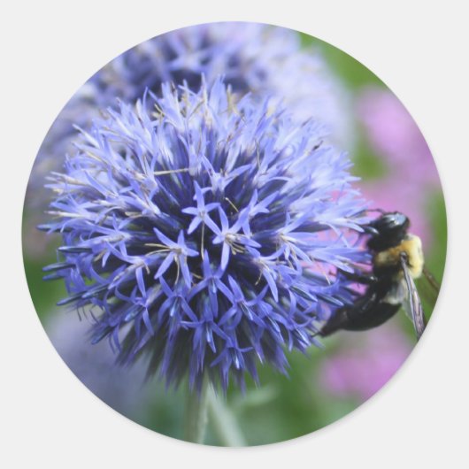 Bienenstockkleber Runder Aufkleber (Vorderseite)
