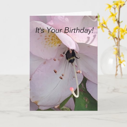 Bienenunterer Geburtstag Karte (Gelbe Blume)