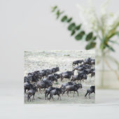 Bienenvölker Postkarte (Stehend Vorderseite)