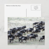 Bienenvölker Postkarte (Vorne/Hinten)