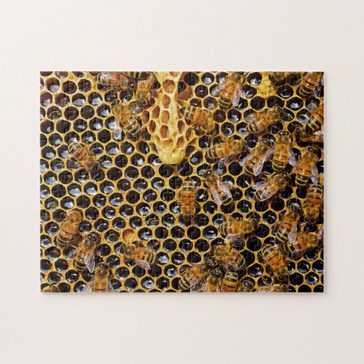 Bienenwabe und Bienen Puzzle (Horizontal)