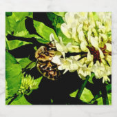 Bienenwasserkennzeichnung Bierflaschenetikett (Einzelnes Label)