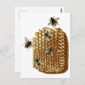 Bienenwerbung, Honeycomb Illustration, Vintag Postkarte (Vorne/Hinten)
