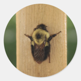 Bienenzilla Runder Aufkleber