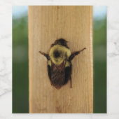 Bienenzilla Weinetikett (Einzelnes Label)