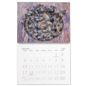 Bienenzucht 2025-2026 Kalender (Jan 2027)