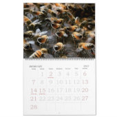 Bienenzucht 2025-2026 Kalender (Feb 2027)