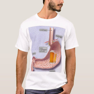 Bier-Bauch T-Shirt