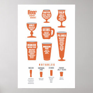 Bier Cheat Sheet Poster Orange