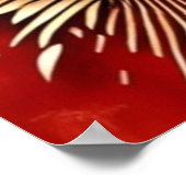 Bier & GRILLEN gemeinsam Poster (Ecke)