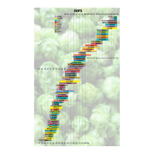 Bier nach Anzahl - Hopfen