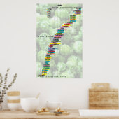 Bier nach Anzahl - Hopfen Poster (Küche)