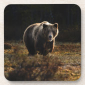 Biergetränkekasten Getränkeuntersetzer (Vorderseite)