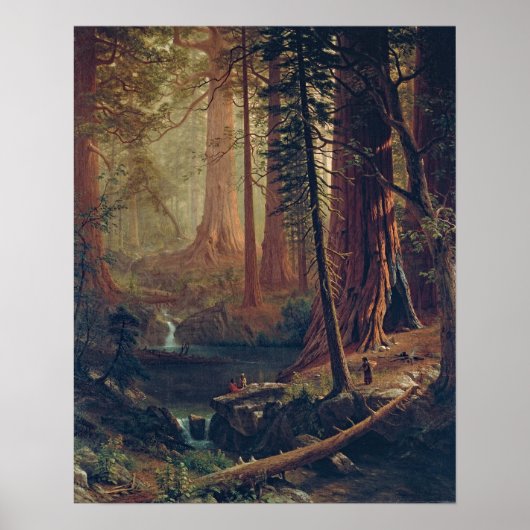 Bierstadt Redwood Trees Painting Poster (Vorne)