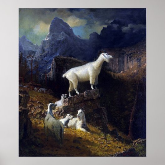 Bierstadt - Rocky Mountains Goats Poster (Vorne)